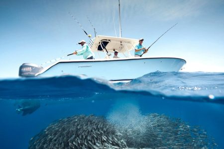 Discover the Hidden Wonders of the Red Sea with Alam Tours: Hurghada Mermaid Glass-Bottom Boat Tour